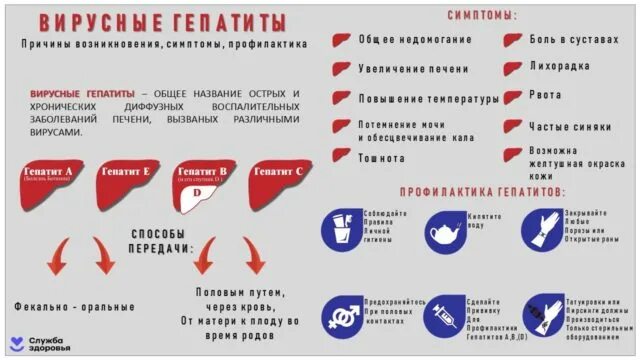 Гепатит Через Оральный Секс