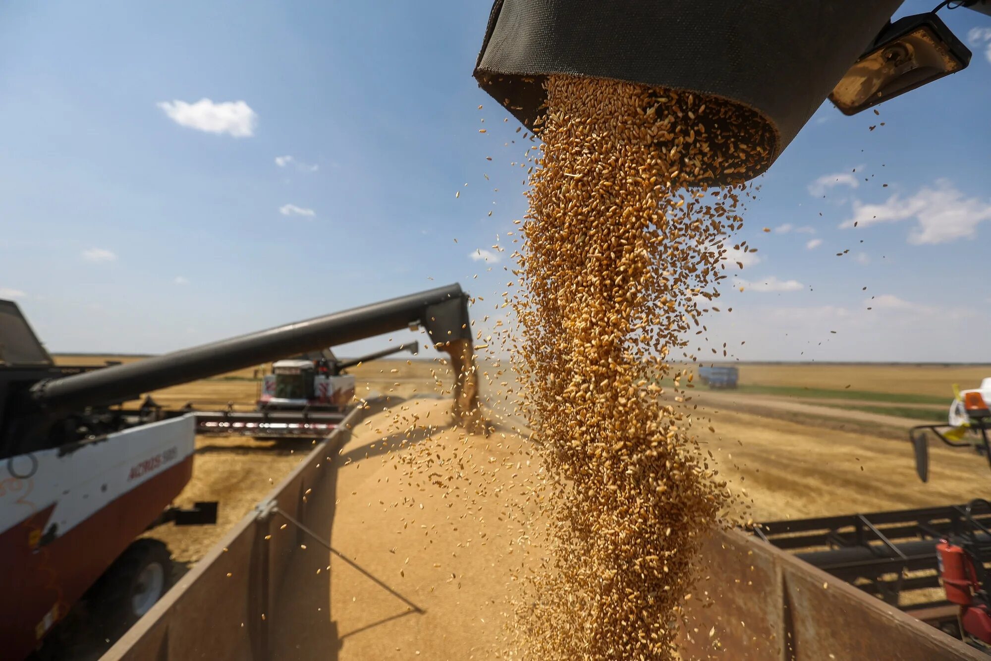 Урожай зерна. Экспорт пшеницы. Вывозка зерна. Экспорт зерна.