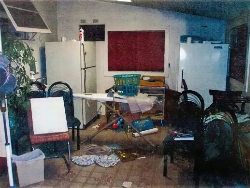 Natasha Kampusch still lives in the house where she was help captive World News 