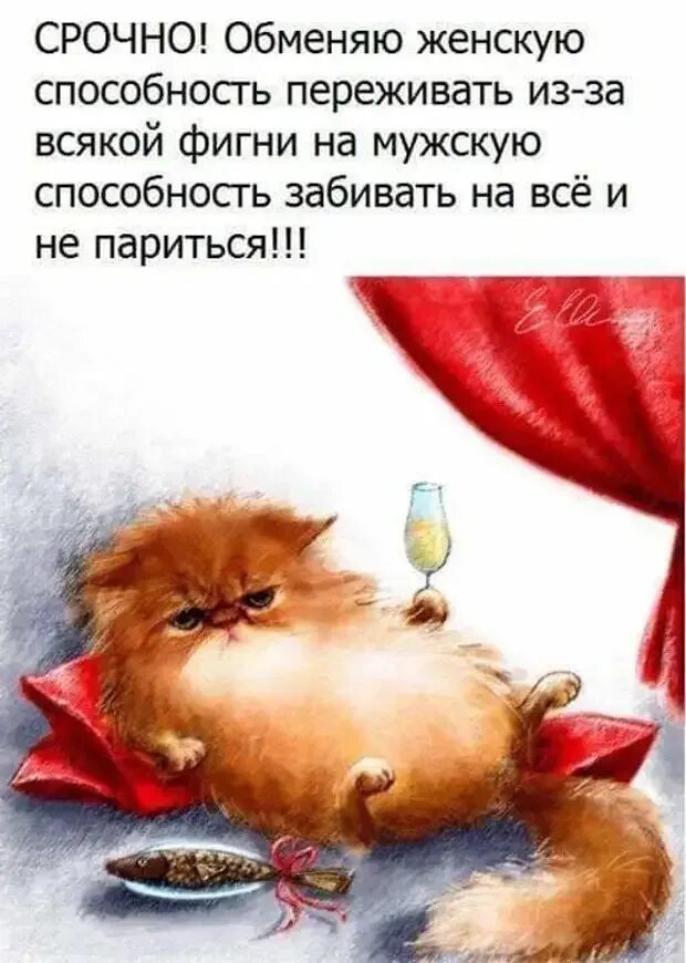 Позитивное настроение юмор. Позитивные высказывания. афоризмы про настроение. высказывания про настроение. интересные высказывания для поднятия настроения.