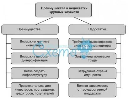 Достоинства петербурга