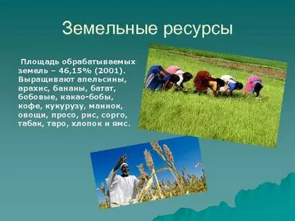 Площадь обрабатываемых земель