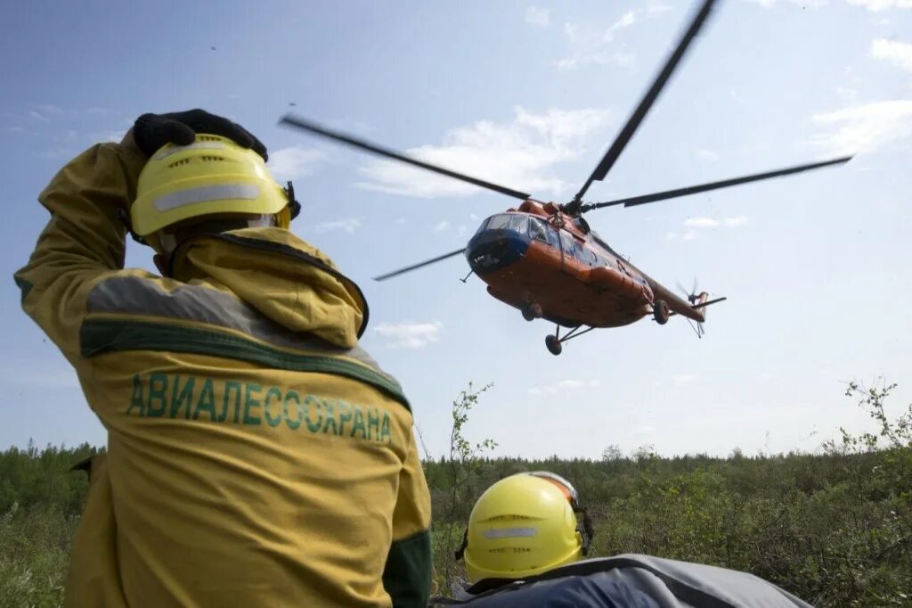 Рослесхоз авиалесоохрана. Рослесхоз авиалесоохрана. Федеральное агентство лесного хозяйства москва. Десантники пожарные авиалесоохрана. Авиалесоохрана исдм рослесхоз.