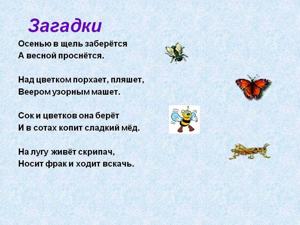 Загадка про луг