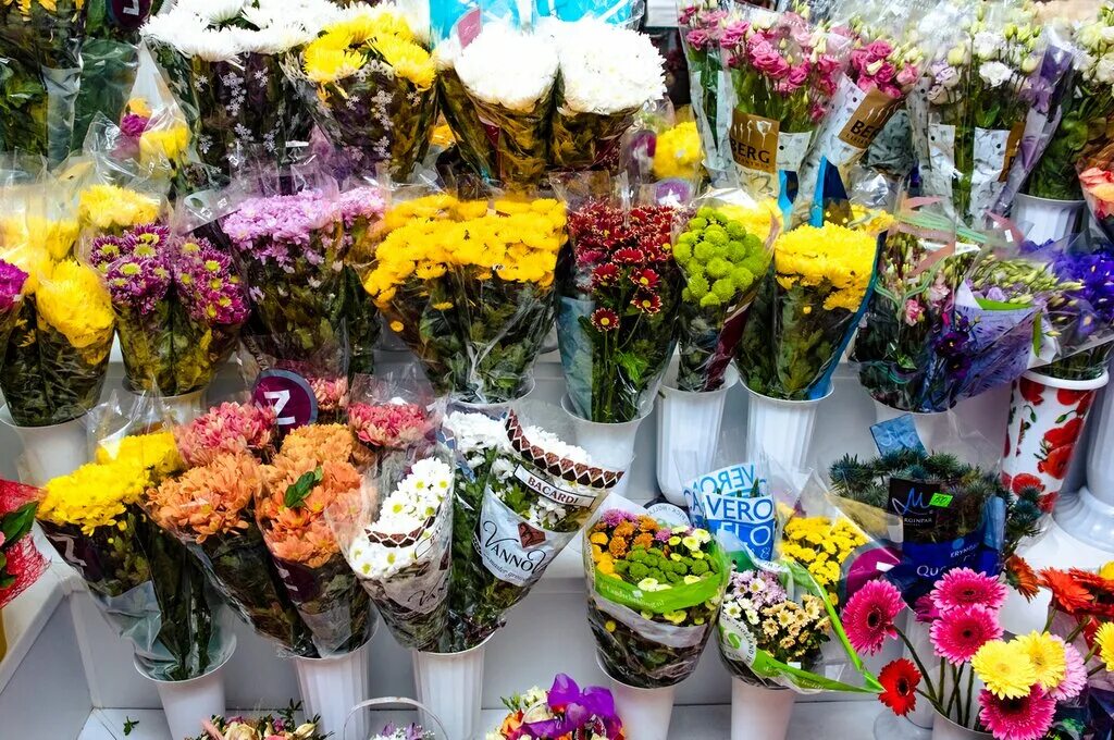 лазаревское ярославль каталог. лазаревское ярославль цветы. лазаревское ярославль магазины. лазаревское магазины. цветы лазаревское растения.