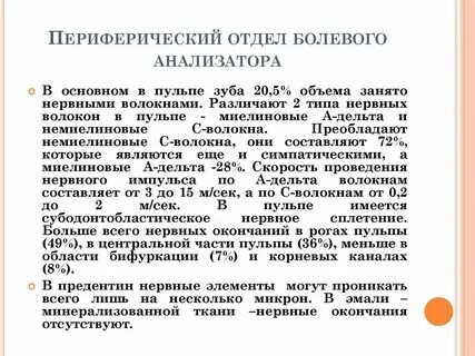 Отделы болевого анализатора