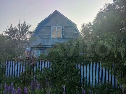 Снт острова ленинградская область