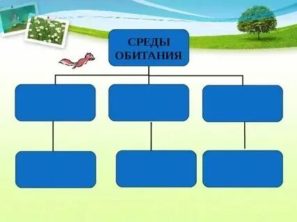 Среды обитания 5 класс биология контрольная работа. Среды обитания 5 класс биология контрольная работа