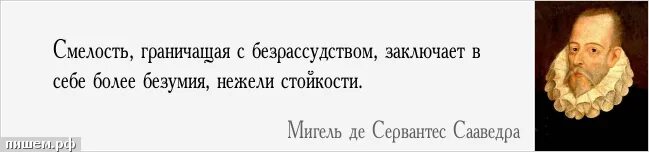поговорки про безрассудство. чем смелость отличается от безрассудства. храбрость и безрассудство. безрассудство это сочинение.