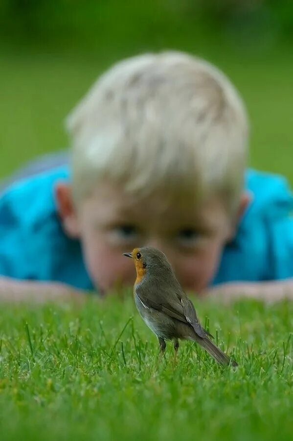 Птичка в руках ребенка. Дети изображают птичек. Птичка малыш. Птицы для детей. Девочка с цыплятами.