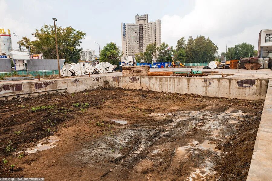 сода селигерская