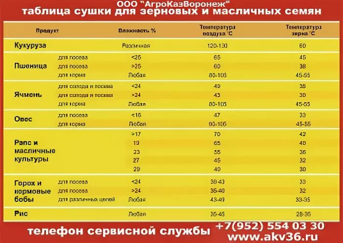 Почему повышается температура при хранении влажных семян. Таблица влажность зерна пшеницы. Таблица сушки зерновых. Влажность зерна при хранении. Допустимая влажность пшеницы.