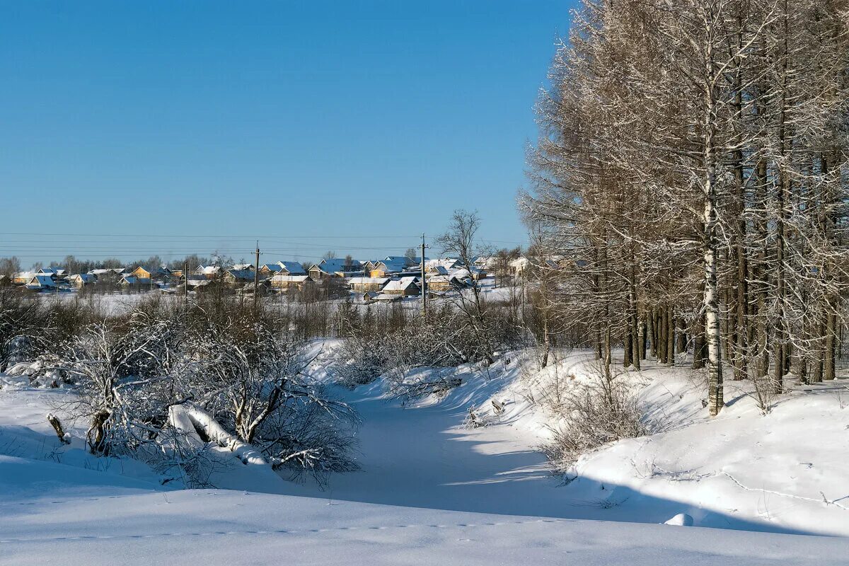 Павино село Костромская. Павино река вочь. Река вочь Костромская область. Деревня Павино Костромская область.