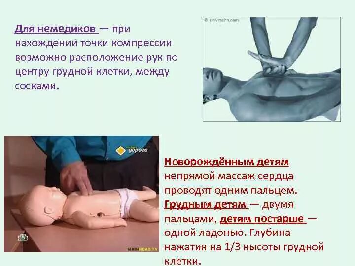 Расположение ладони при проведении компрессии грудной клетки Урок 20: Болезни дыхательной системы
