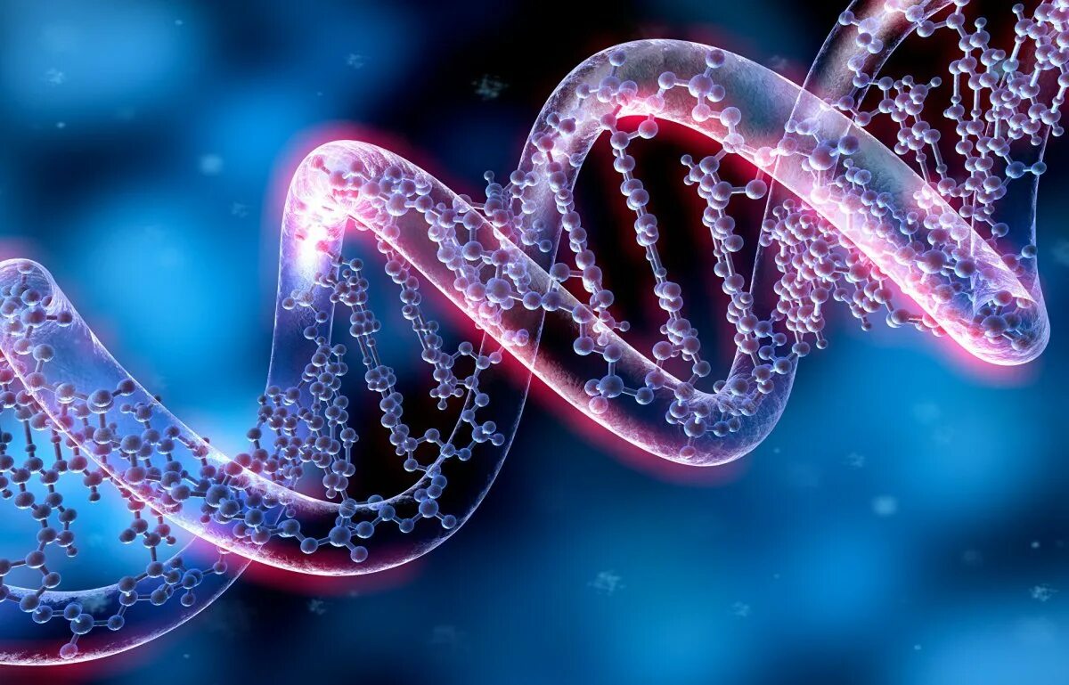 Живая клетка днк. ДНК молекулярная биология. ДНК DNA. Генетика ДНК. Молекула ДНК.