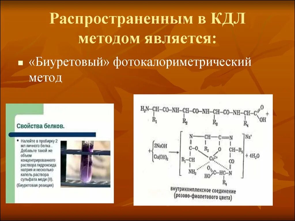 Количественное определение белков в крови. Биуретовая реакция методика. Принцип биуретового метода количественного определения белков. Биуретовая реакция, метод Лоури. Принцип биуретового метода.