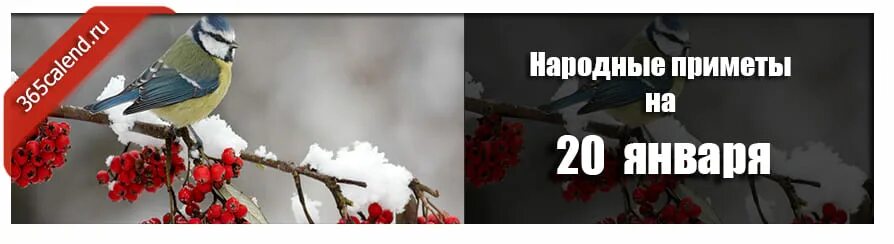 20 января значение. Иван бражник 20 января. 20 января народные приметы. 20 января народный календарь. 20 января народный календарь иван бражник.