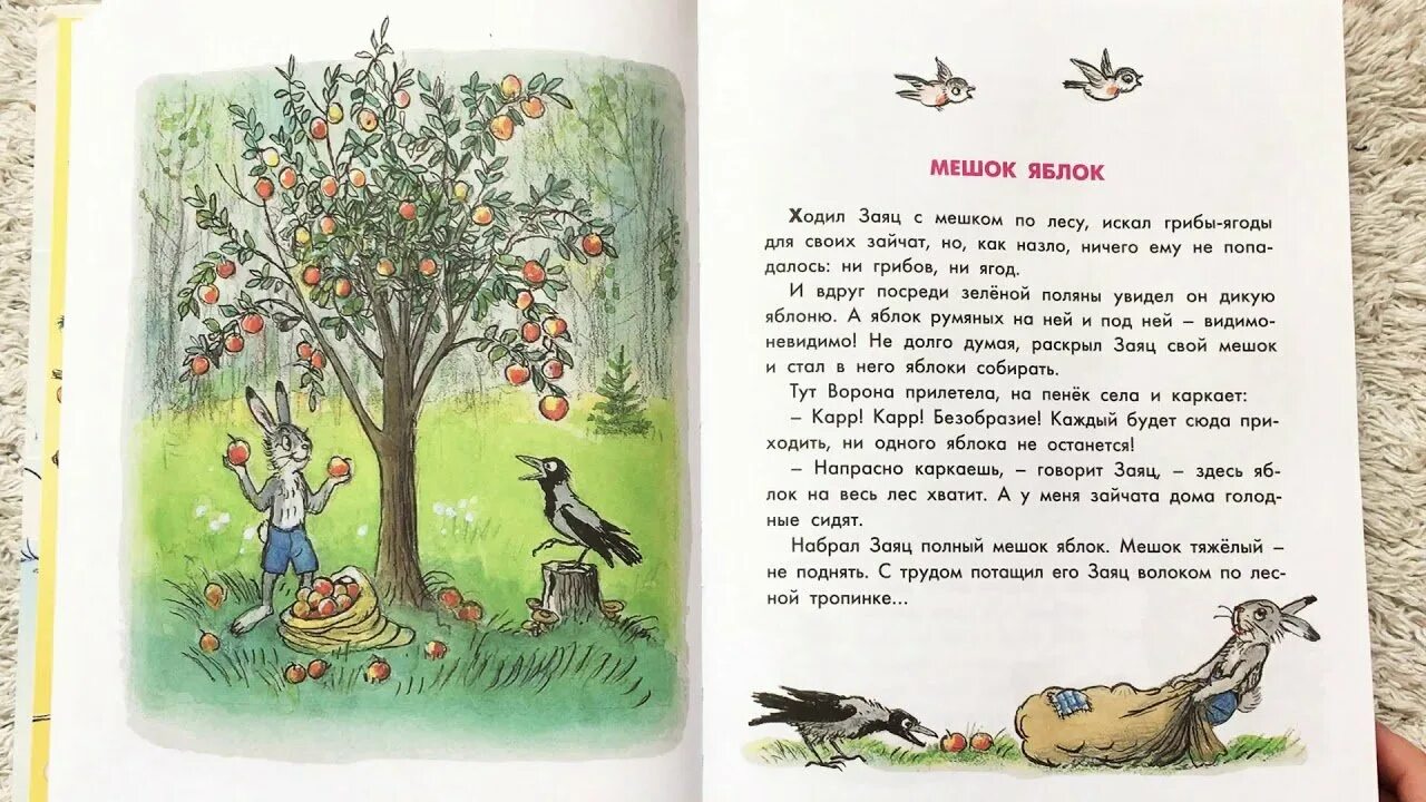 Учит сутеев. Сутеев сказки мешок яблок. книга сутеева мешок яблок. сутеев мешок яблок книга. рассказ мешок яблок.