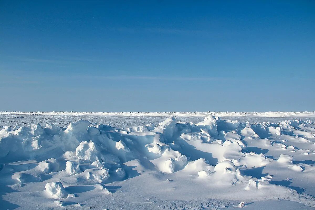 северный полюс неба. полярная ночь в арктике. небо на севере. арктика северное сияние. небо на северном полюсе.
