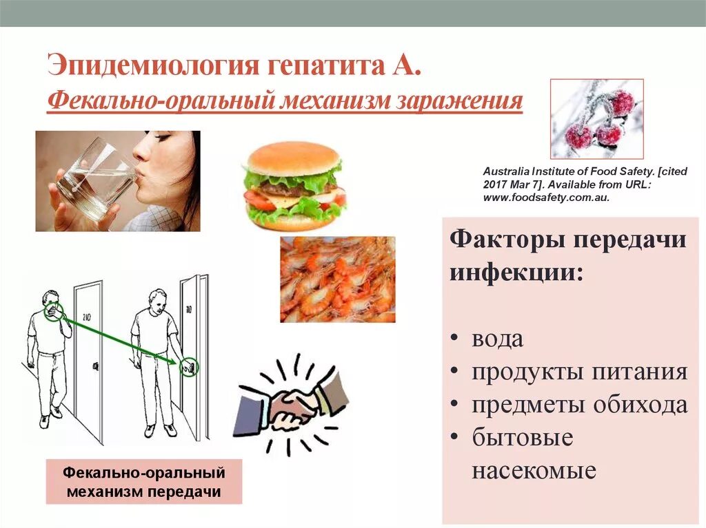 Фекально оральный гепатит