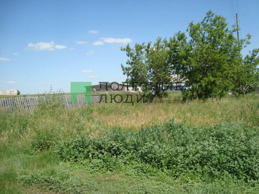 омск, таврический район, дер. камышино курская школа муромцевского района. омск, таврический район, дер. камышино. деревня камышино.