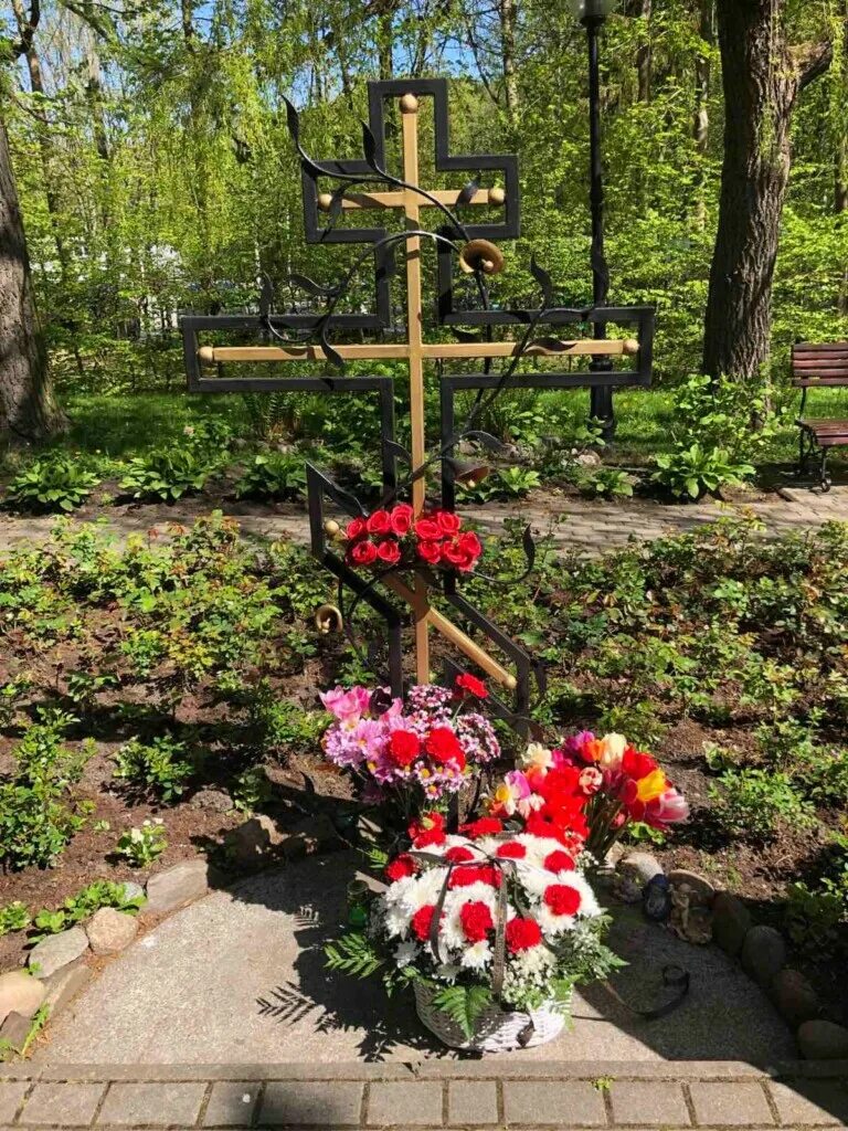 катастрофа ан-24 в светлогорске. светлогорск 1972 авиакатастрофа детский. трагедия в светлогорске в 1972 году. катастрофа ан-24 в светлогорске. трагедия в светлогорске в 1972.