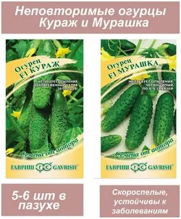 Огурцы сорта кураж характеристики