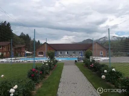 Корогон горный алтай