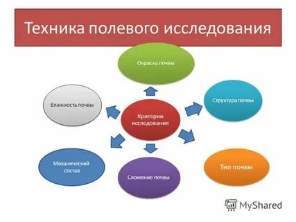 Полевой метод в биологии