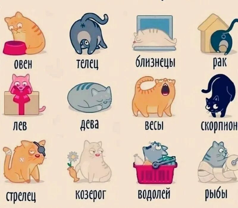 Кио ты познаку зодиака. Внешность по знаку зодиака. Блогеры по знаку зодиака. Знаки зодиака. Другие знаки зодиака.