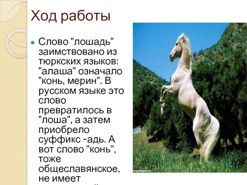 Определение слова лошадь. Слово лошадь. конь слова. текст про лошадь. конь текст.