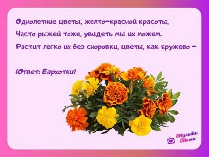 2 загадка цветов