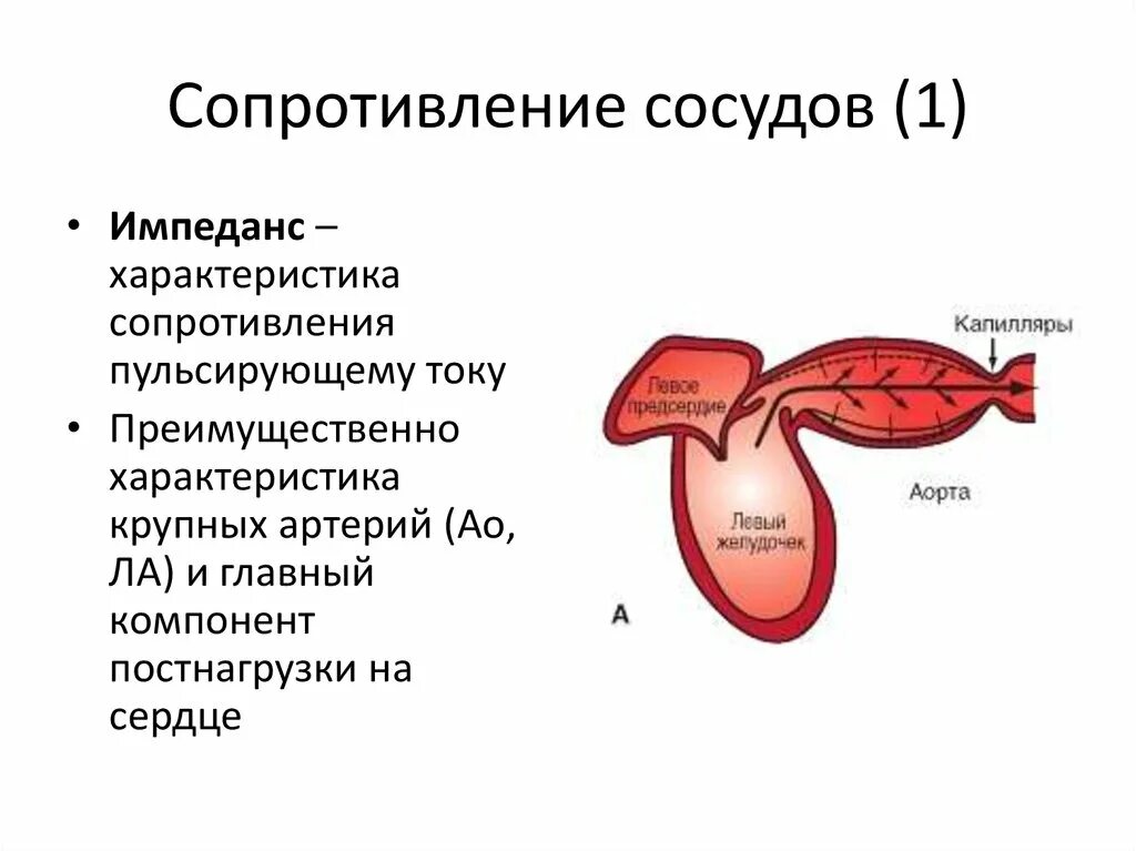 Опсс это медицина. Сосуды сопротивления. Сосудистое сопротивление. Системное сосудистое сопротивление. Сопротивляемость сосудов это.