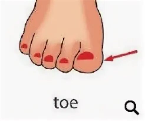 Toes на английском языке. Toes карточка на английском. Toes на английском языке. Toes на английском языке. Палец на ноге мультяшное.