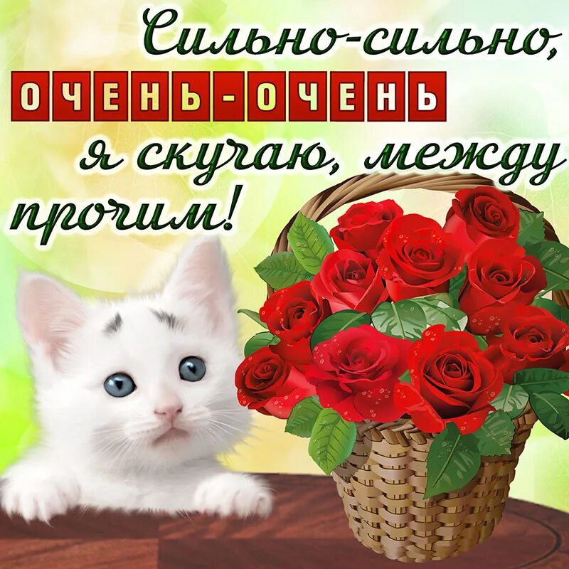 Красивые открытки для любимой девушки. Squchayu. Скучаю картинки. Открытки очень скучаю по тебе. Скучаю картинки.