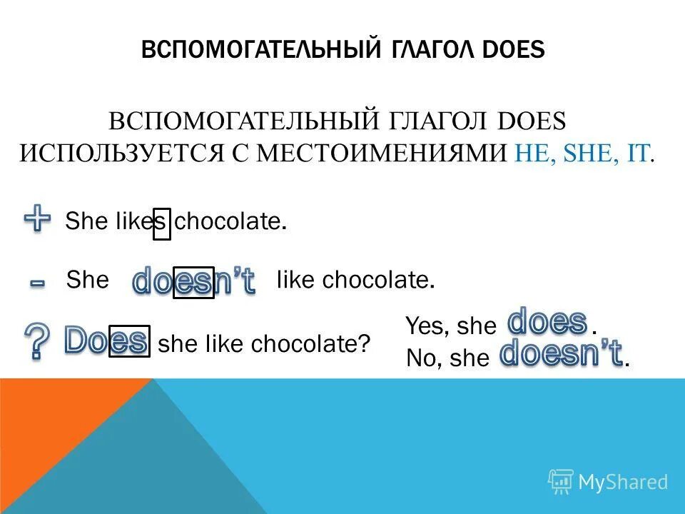 1 вставьте глагол do does