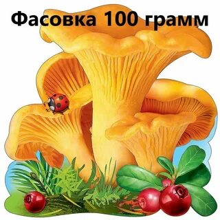 Грибы лисички для детей