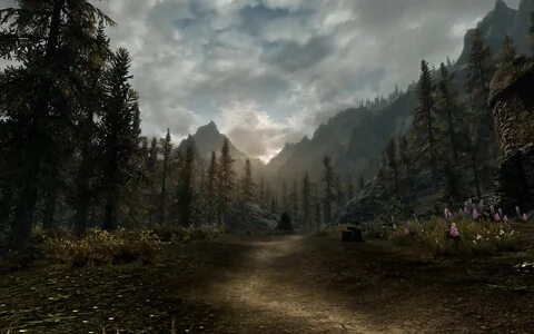 Skyrim by xatab
