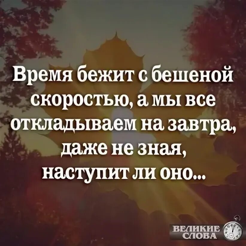 Время бежит с бешеной скоростью. Время бежит с бешеной скоростью а мы все откладываем на завтра. Время бежит цитаты с бешеной скоростью. Жизнь летит с бешеной скоростью.