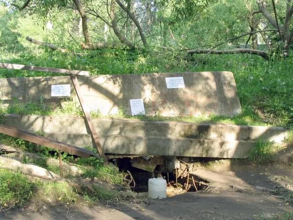 Родник балашиха. Родник в Железнодорожном в Павлино. Родник Вишняковский Балашиха. Родник в Балашихе на Разинском шоссе.