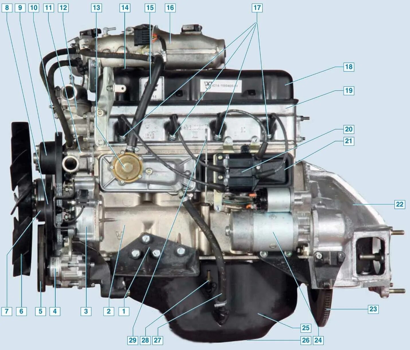 Умз 4216 характеристики. ГАЗ 2705 двигатель УМЗ 4216. Двигатель ГАЗ-3302 УМЗ-4216. Двигатель на Соболь 421. Датчики двигателя УМЗ 4216 евро 3.