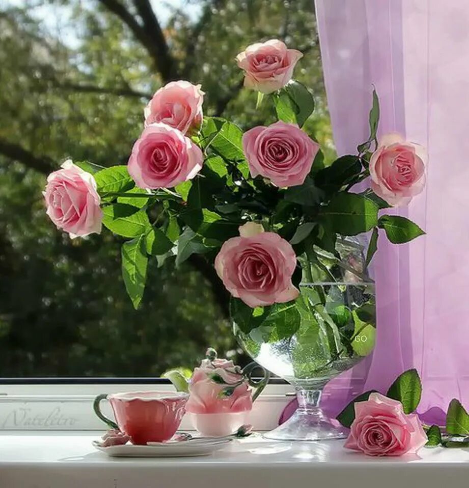 Цветы утром картинки. Цветы на окне. Окно роза. Розовые розы на окне. Самые красивые цветы на окне.
