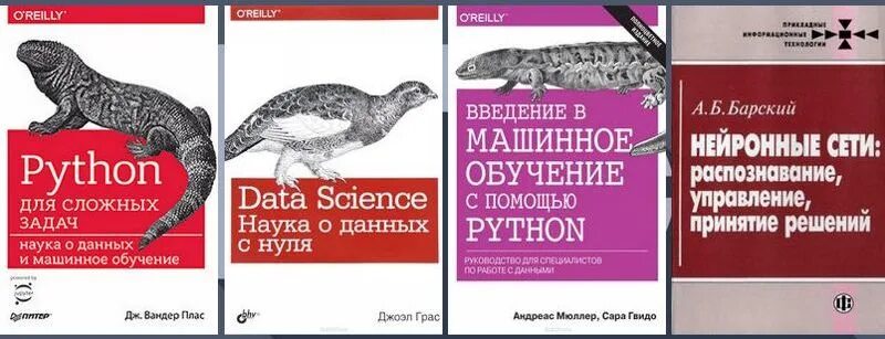 Задачи python книга. Машинное обучение на Python книга. Data Science наука о данных с нуля книга. Книги по Python для науки о данных. Справочник по питону.
