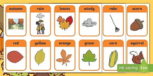 Fall teach 2