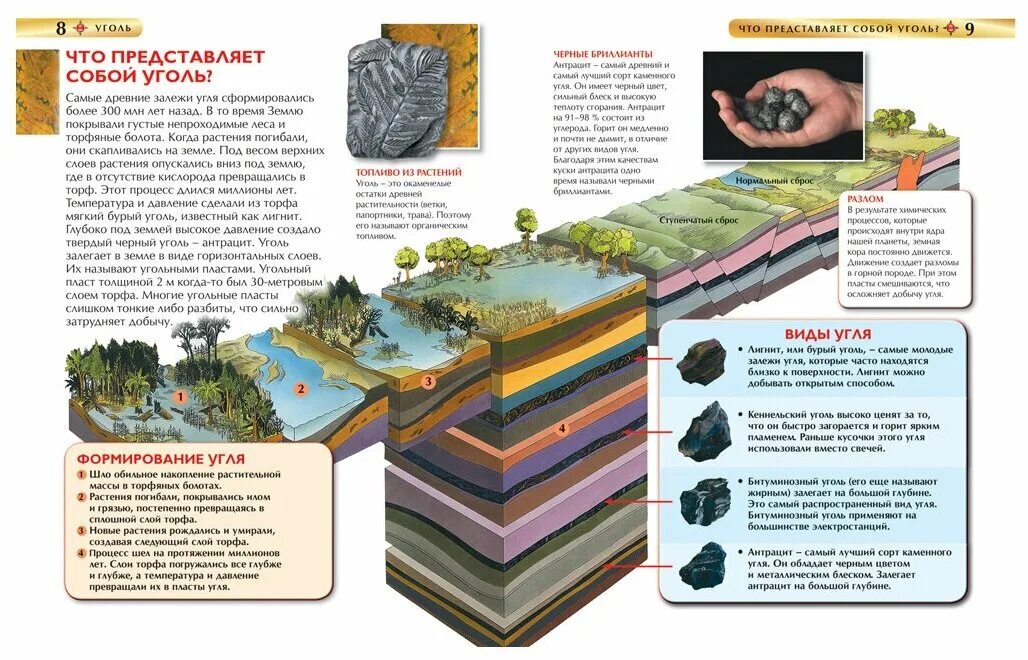 Добыча и использование угля. Образование каменного угля. Слои каменного угля. Образование залежей каменного угля. Этапы образования угля.