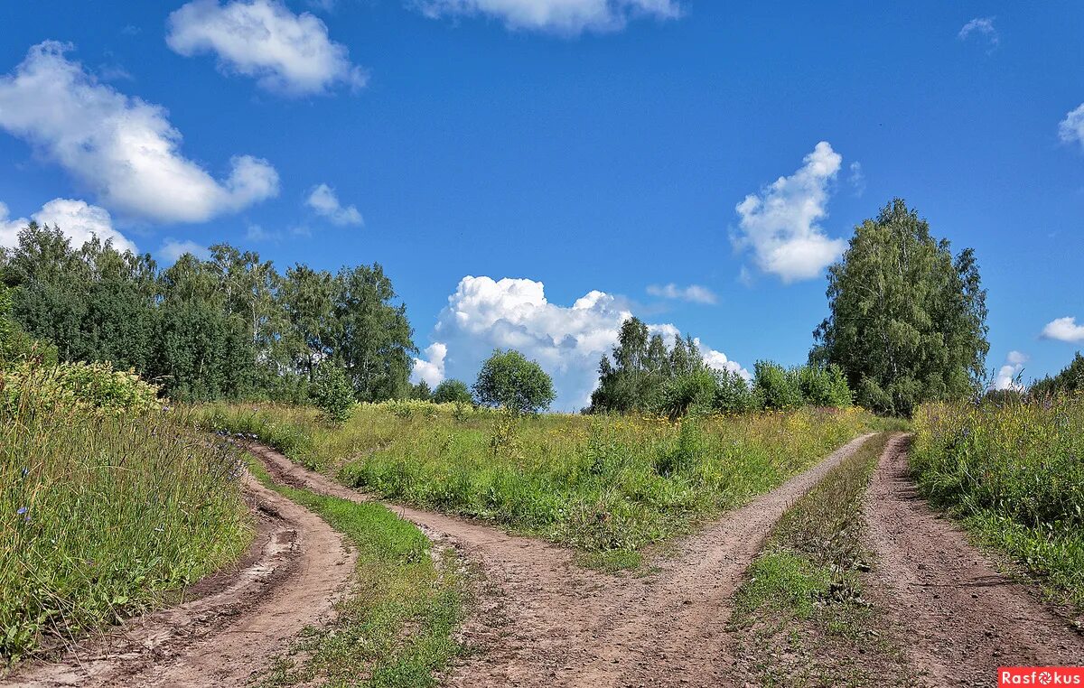 Три дороги та и эта. Развилка дороги. Перекресток полевых дорог. Проселочная дорога Развилка. Полевая дорога.