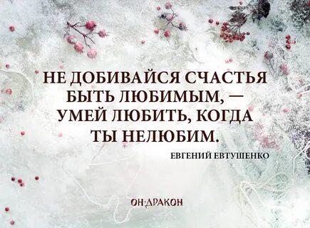 Он дракон забирай