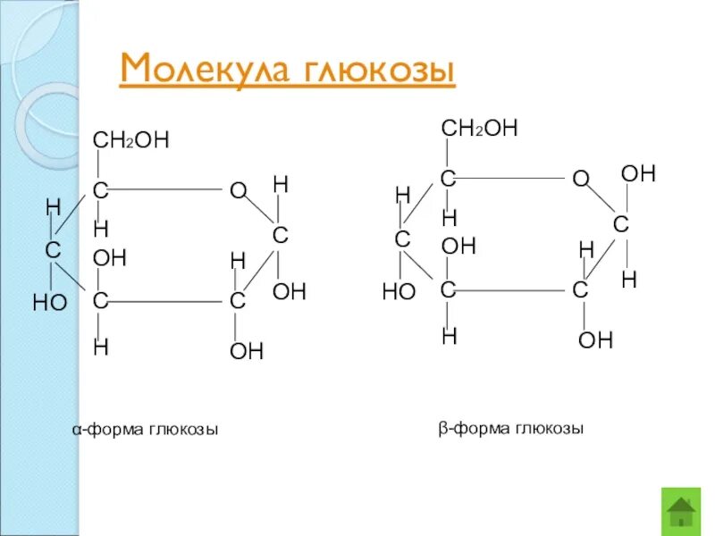 Какая молекула является глюкозой