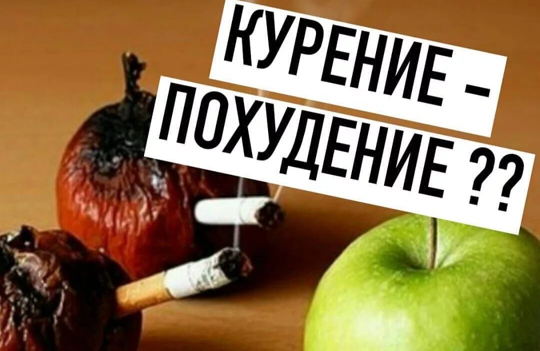 Можно ли похудеть от сигарет. Можно ли похудеть от сигарет