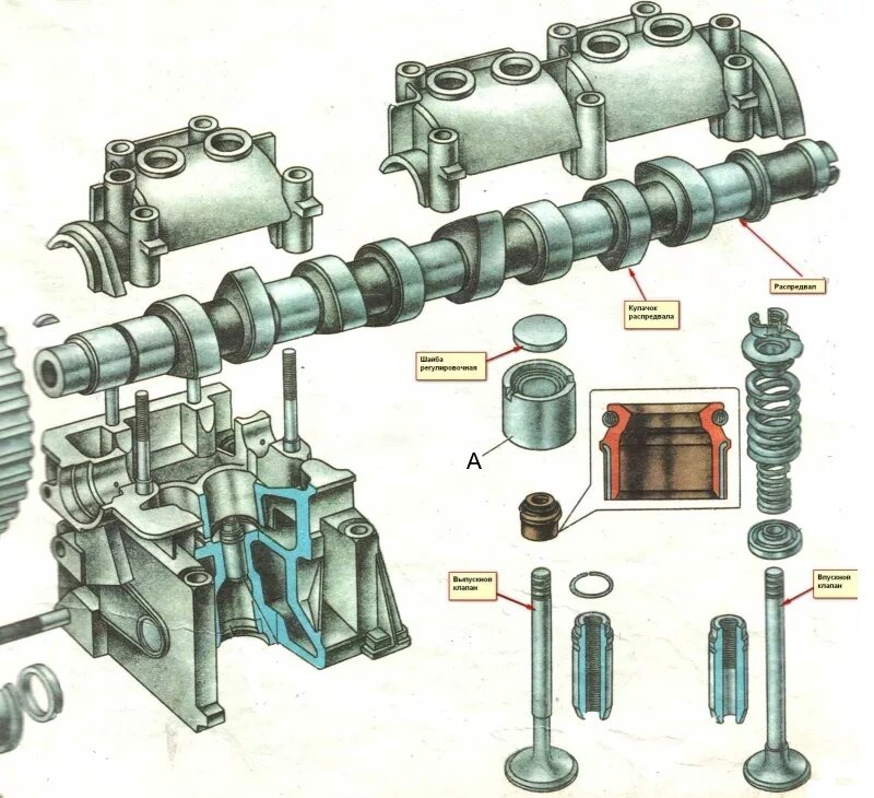 Клапана ваз 2109 карбюратор 8 клапанов. Впускные и выпускные клапана ВАЗ 2109. Газораспределительный механизм ВАЗ 2109. Клапана ВАЗ 2109 инжектор. Газораспределительный механизм двигателя ВАЗ 2108.